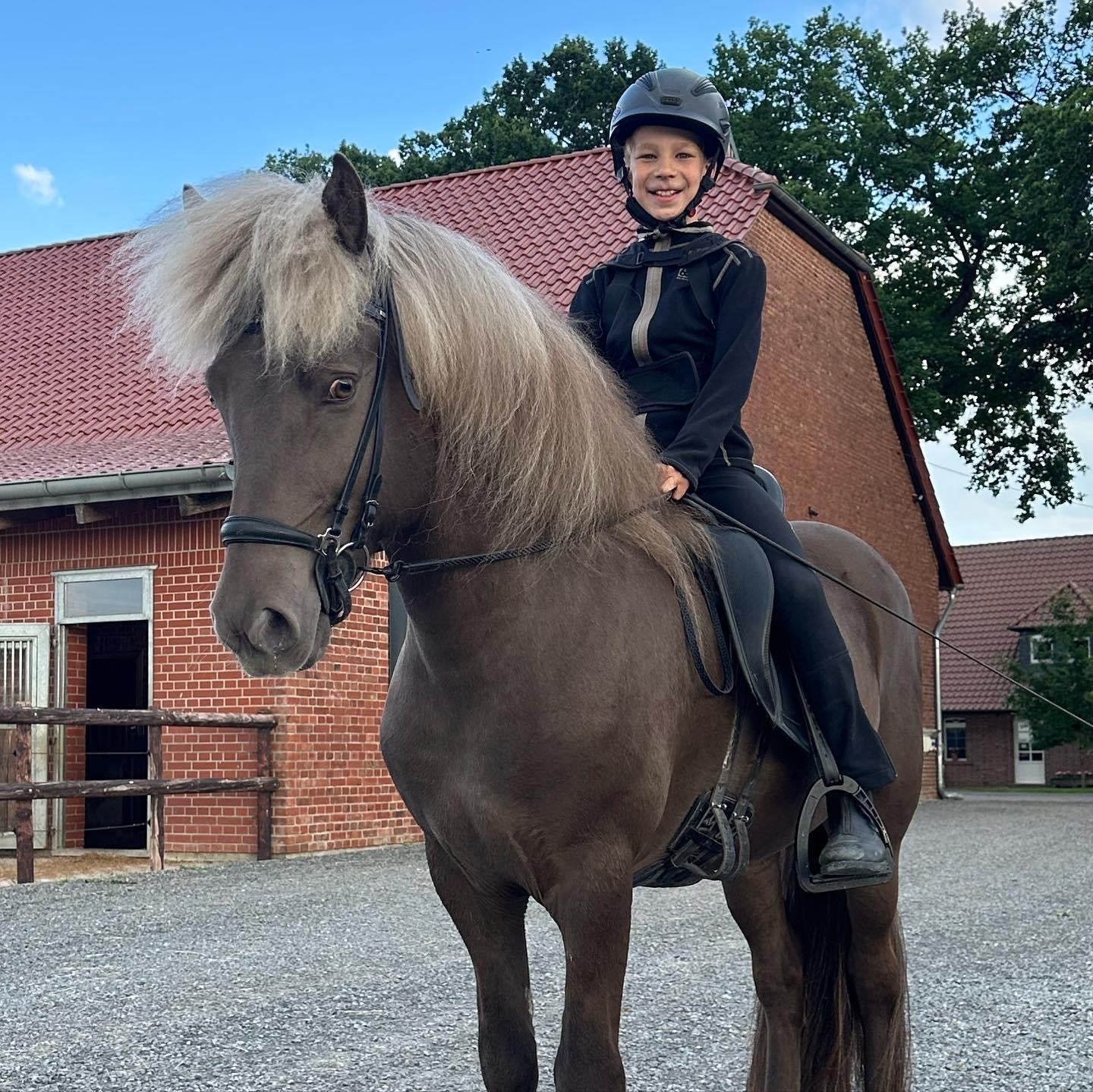 SUPER SAVE MR. X-Factor sinaguenther-islandpferde