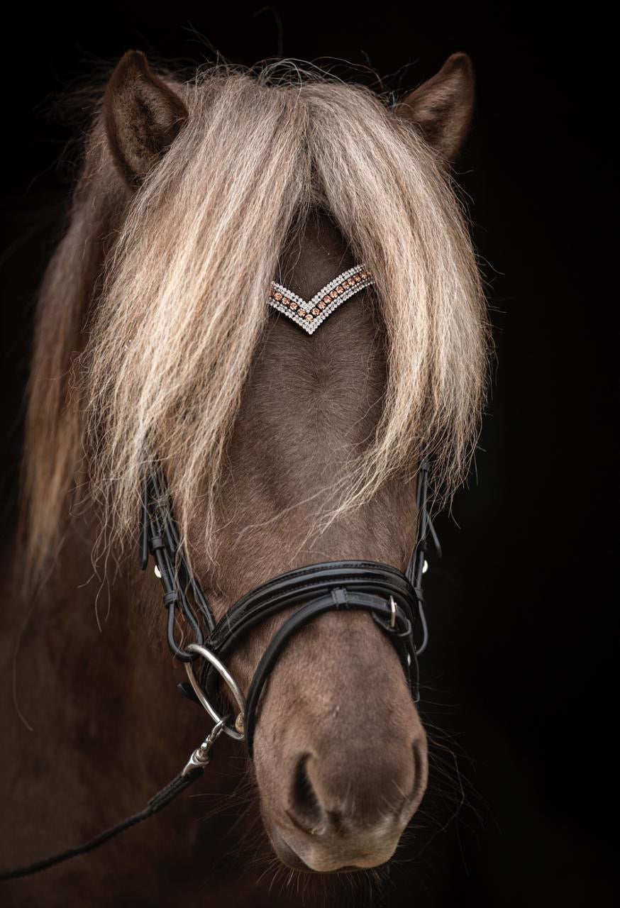 SUPER SAVE MR. X-Factor sinaguenther-islandpferde