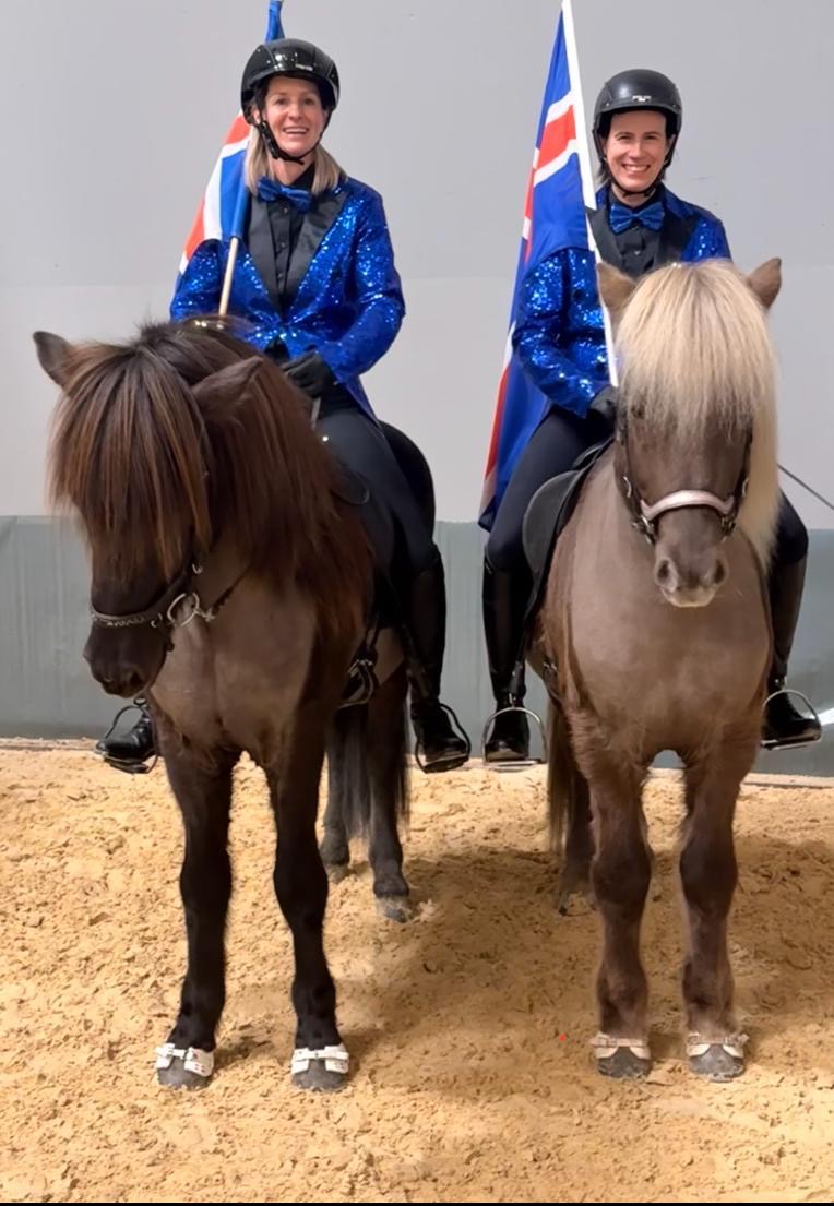 SUPER SAVE MR. X-Factor sinaguenther-islandpferde