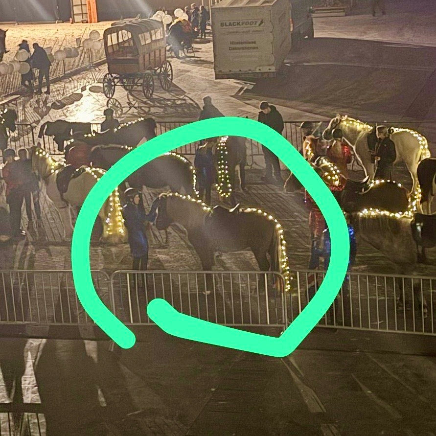 SUPER SAVE MR. X-Factor sinaguenther-islandpferde