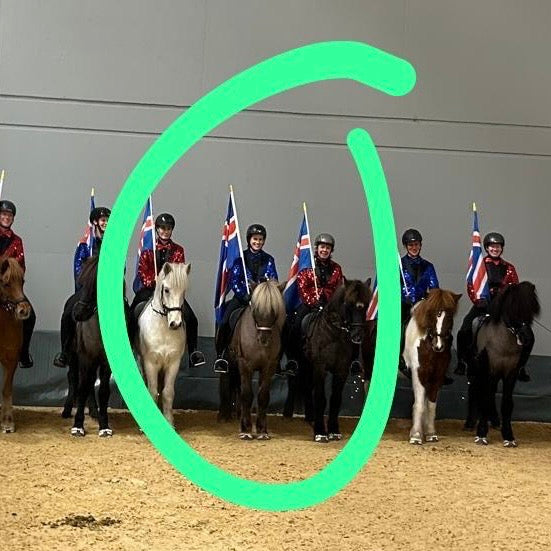 SUPER SAVE MR. X-Factor sinaguenther-islandpferde