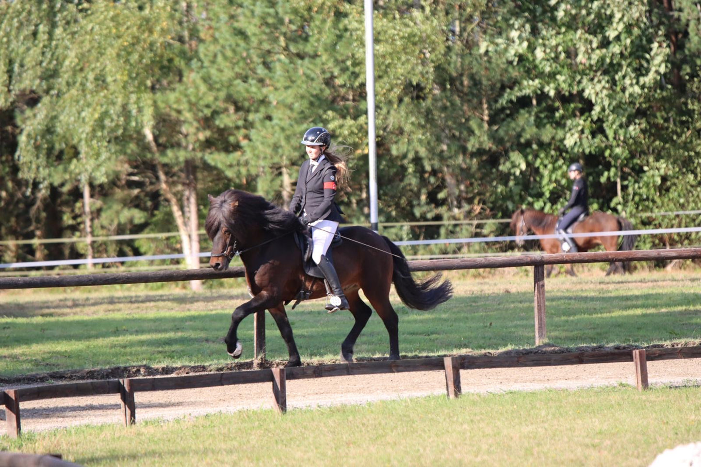 Stjörnufákur ⭐️ FIRST PRICE STALLION with 9.0 for pace ⭐️ Preis auf Anfrage sinaguenther-islandpferde