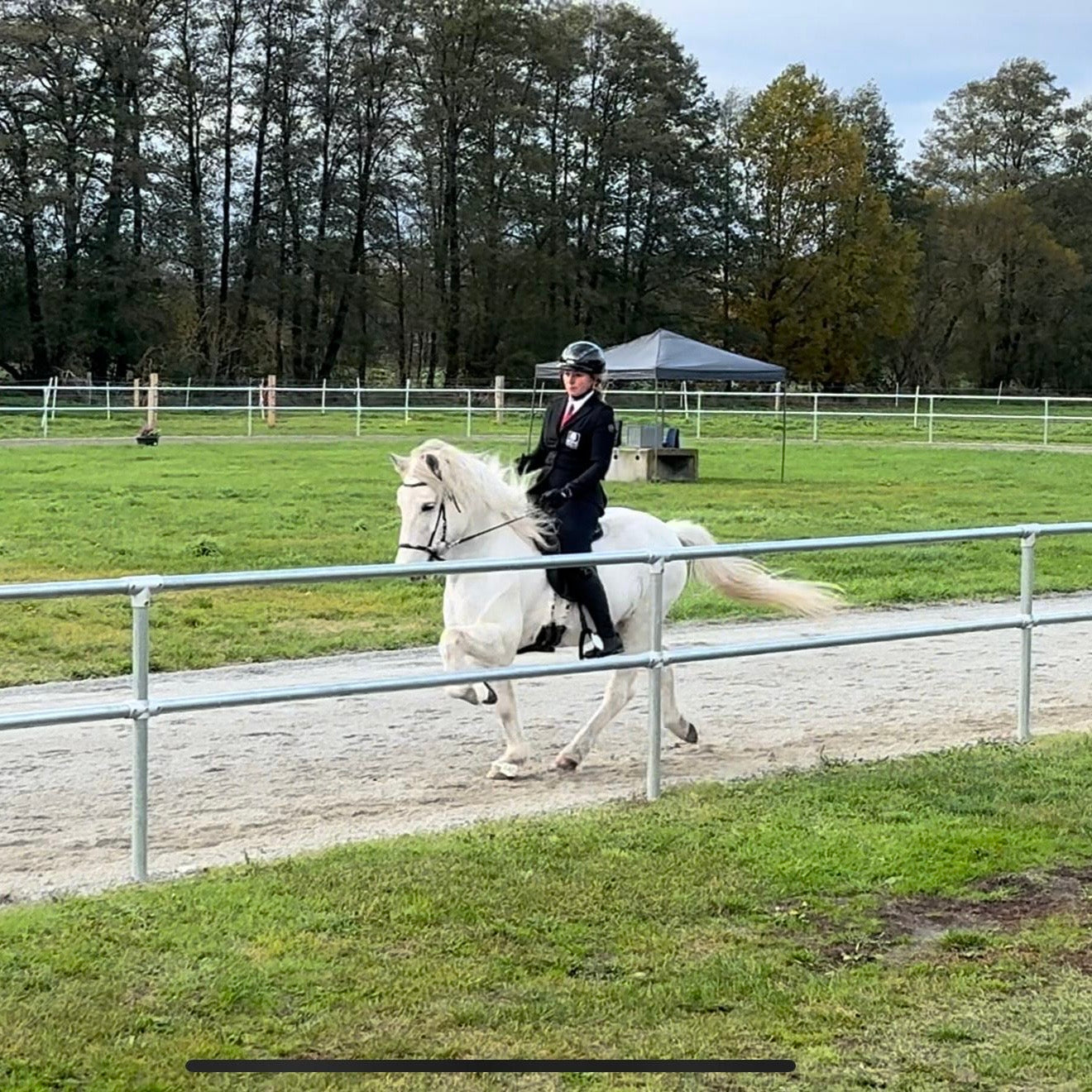 Strend Preis auf Anfrage sinaguenther-islandpferde