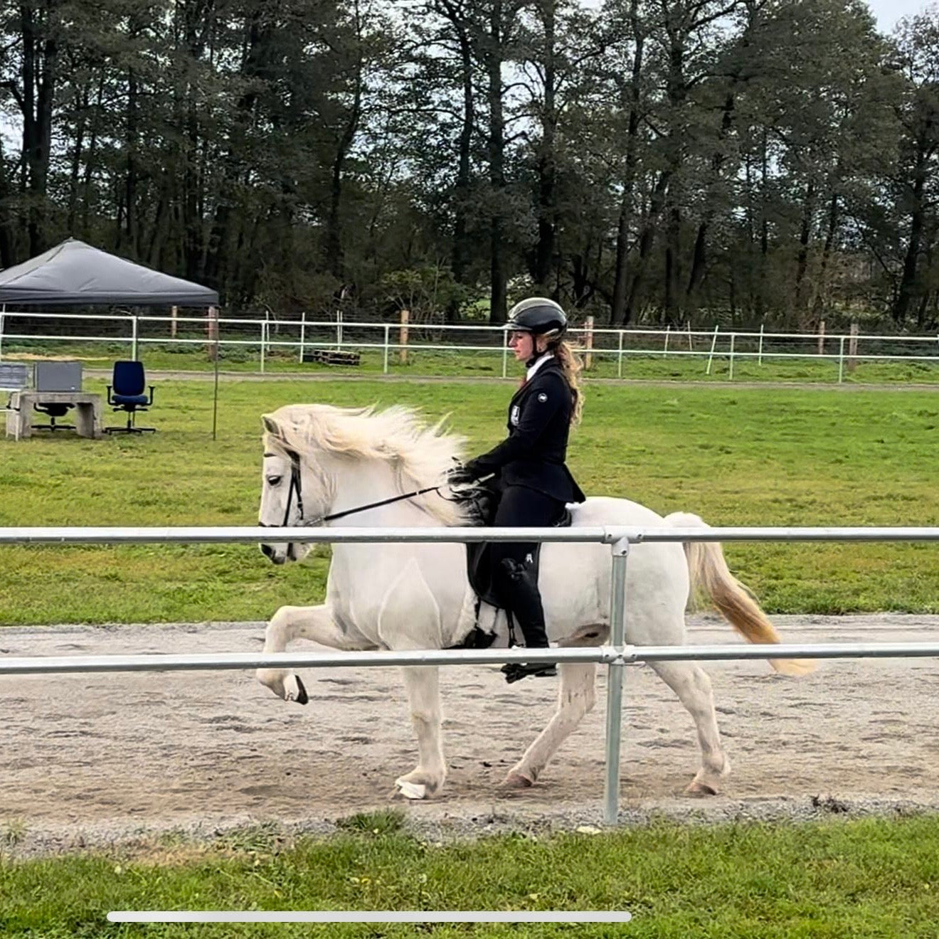 Strend Preis auf Anfrage sinaguenther-islandpferde
