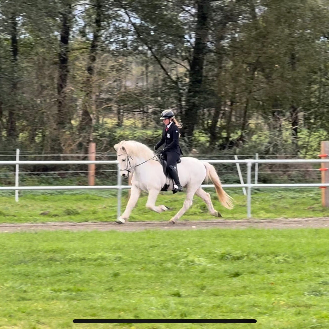 Strend Preis auf Anfrage sinaguenther-islandpferde