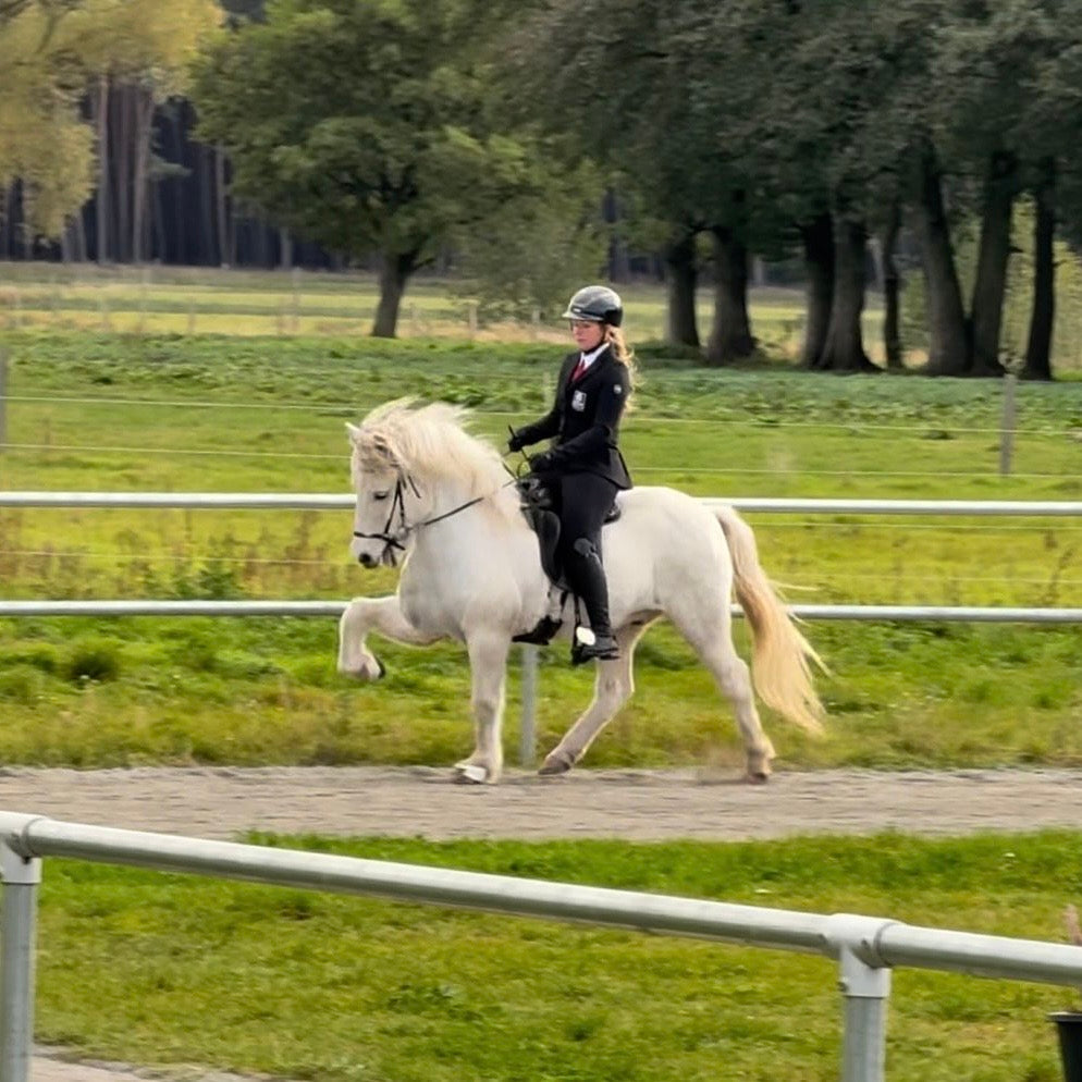 Strend Preis auf Anfrage sinaguenther-islandpferde