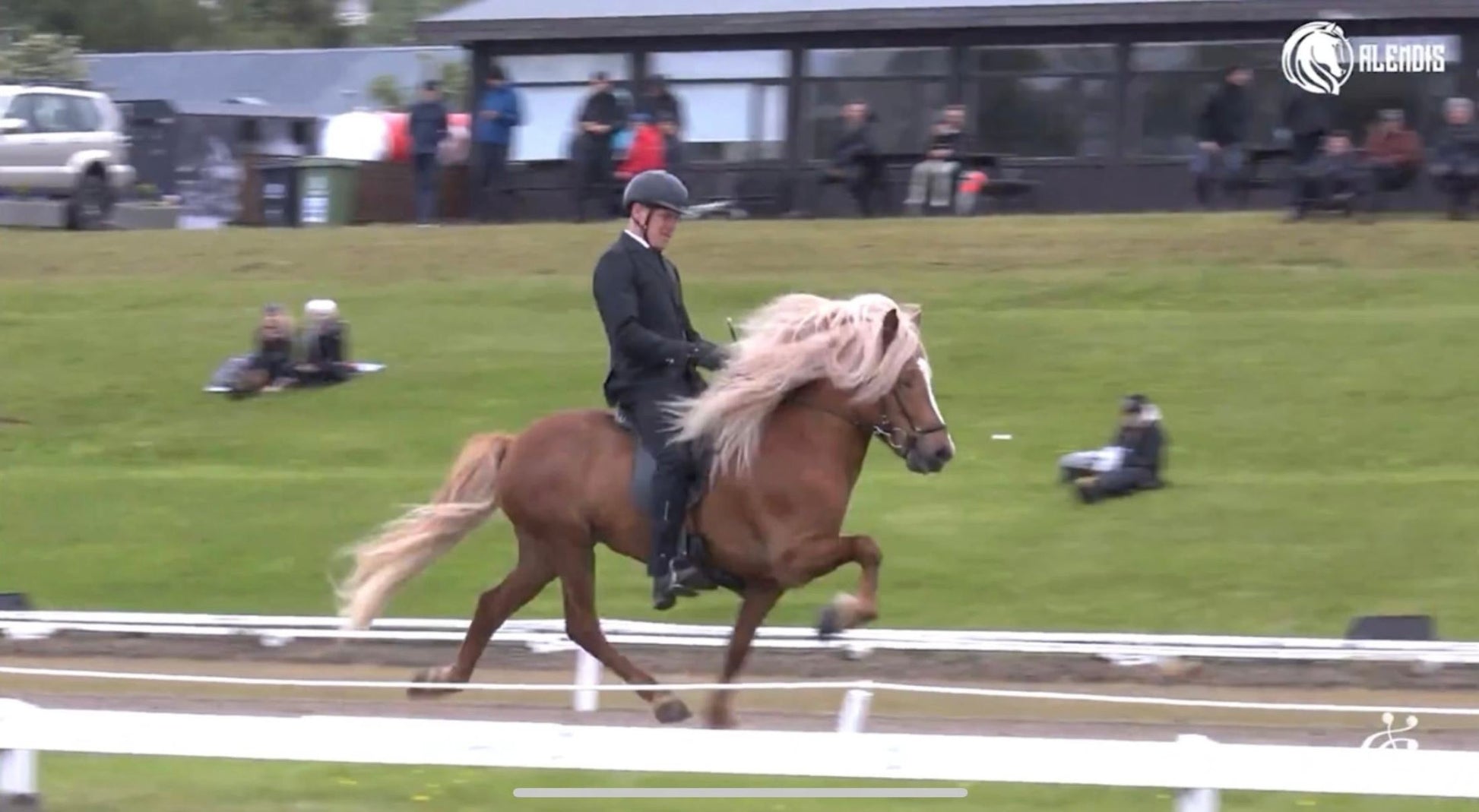 Top-Class FIZO STAR 🌟 Preis auf Anfrage sinaguenther-islandpferde