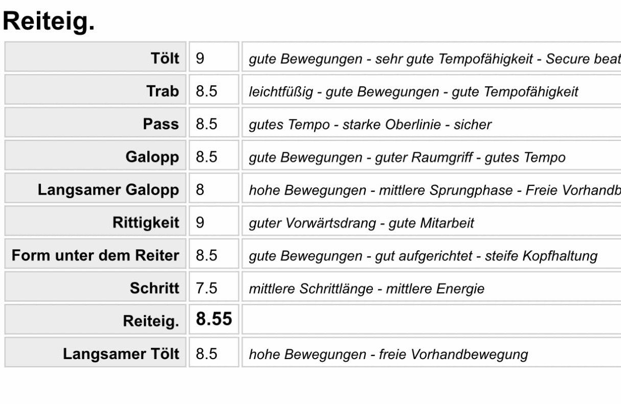 Top-Class FIZO STAR 🌟 Preis auf Anfrage sinaguenther-islandpferde