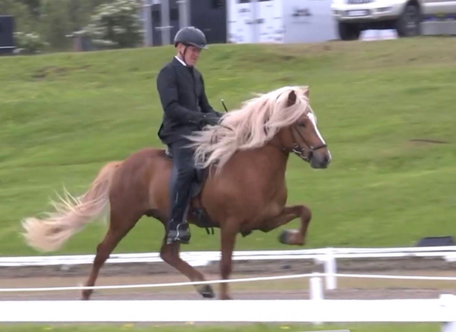 Top-Class FIZO STAR 🌟 Preis auf Anfrage sinaguenther-islandpferde