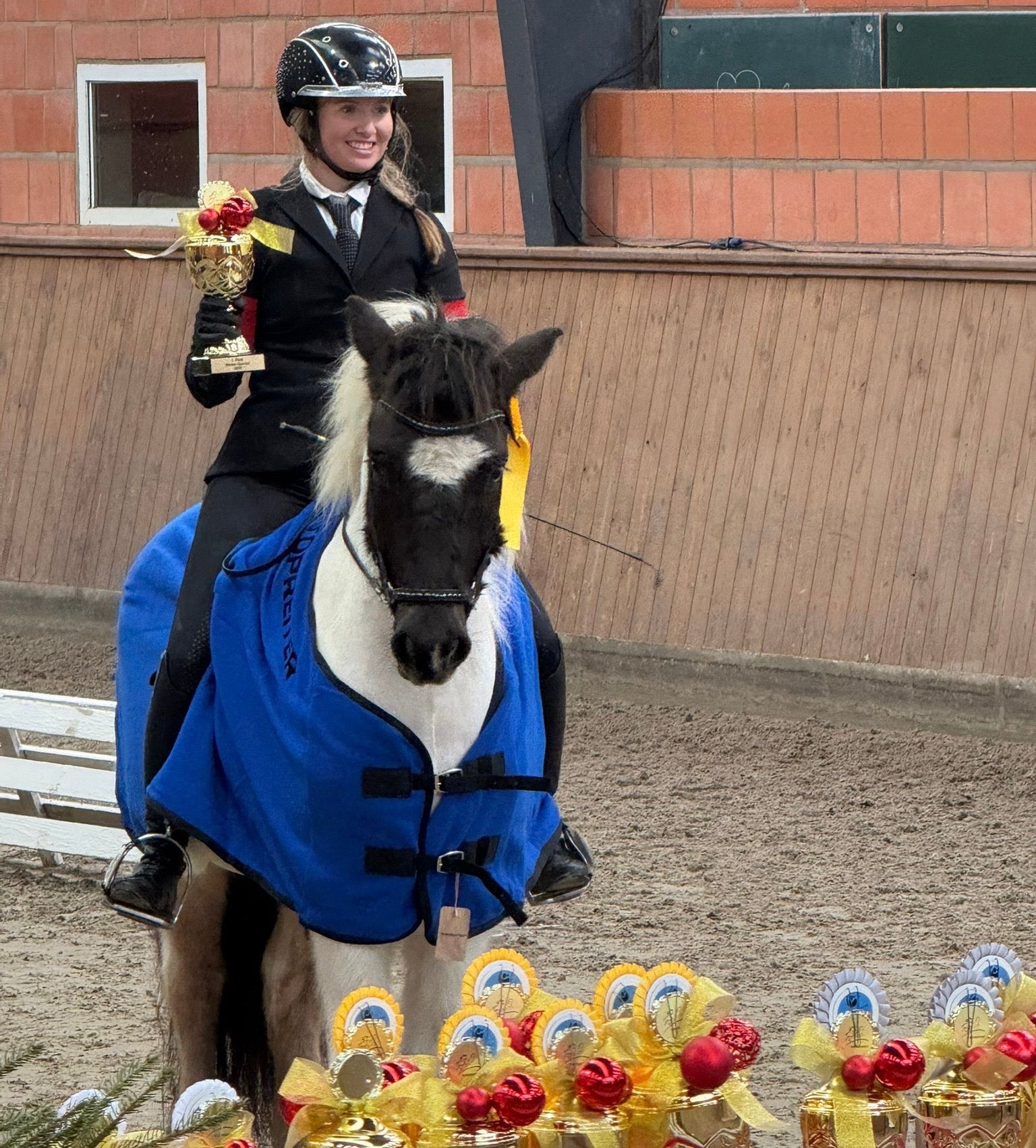 Viktor sinaguenther-islandpferde